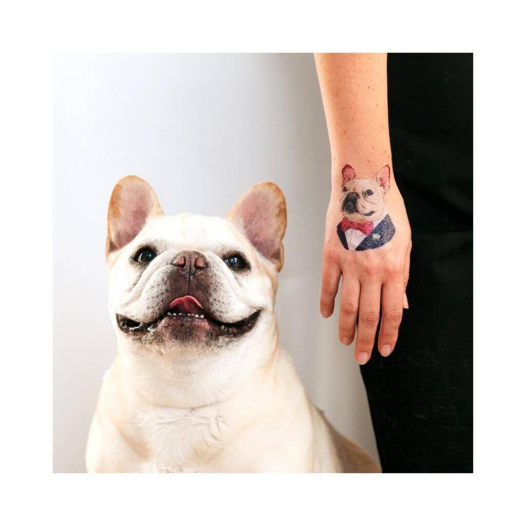 Tattly French Bulldog tatto midlertidig tatovering Barnefryd.no